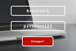 Wir geben Tipps, mit denen Sie Ihre Passwörter sicher machen. Bild: IAM-NET.EU